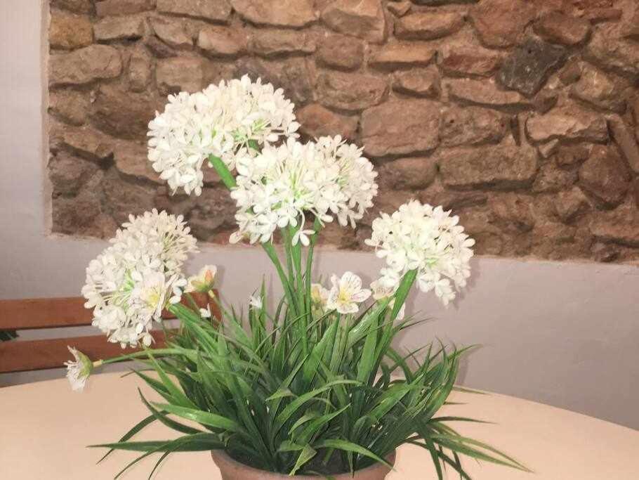 Apartament De La Susanna Old Town Mezzanine Tarragona Dış mekan fotoğraf
